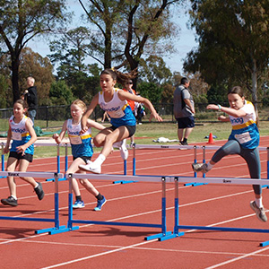 Little Athletics Hurdles