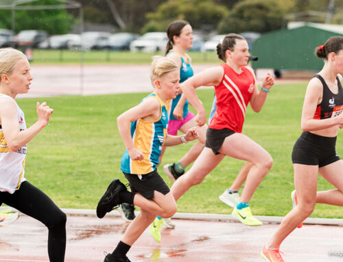 Eaglehawk makes flying start to AVSL Shield action for 2024-25